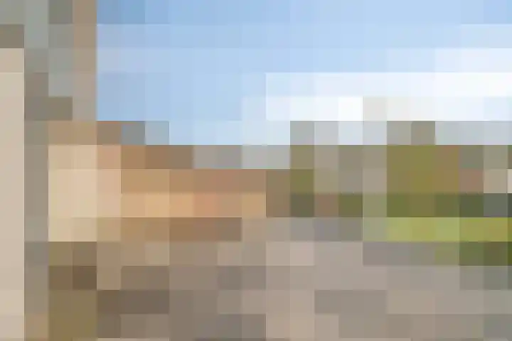 Hoornikgaarde 2 Deventer thumbnail 30