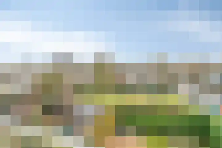 Hoornikgaarde 2 Deventer thumbnail 33