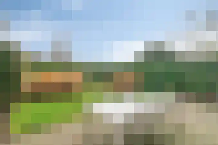 Hoornikgaarde 2 Deventer thumbnail 37