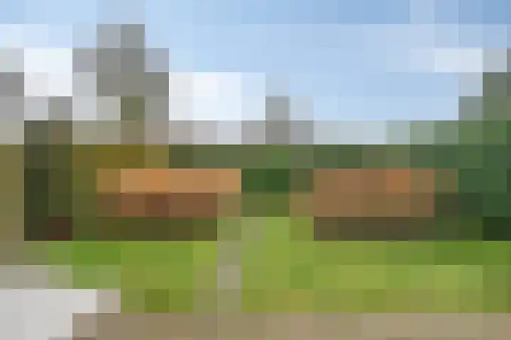Hoornikgaarde 2 Deventer thumbnail 38