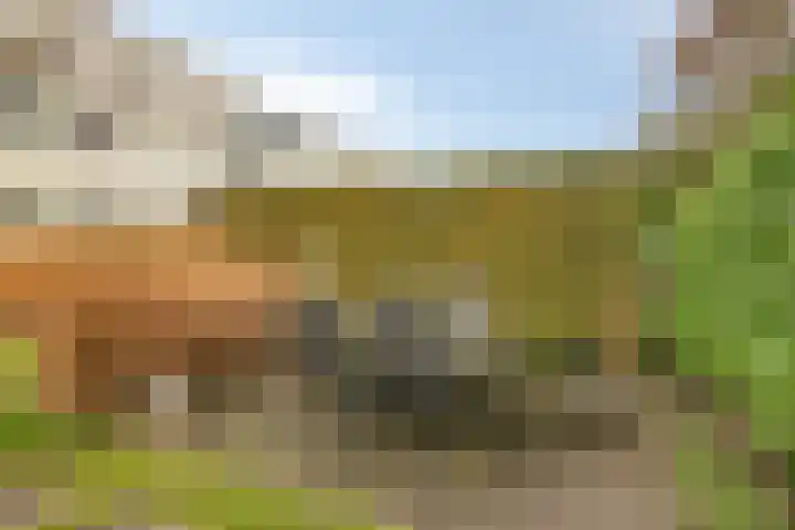 Hoornikgaarde 2 Deventer thumbnail 39