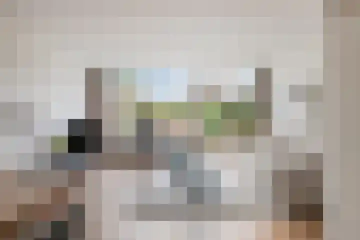 Hoornikgaarde 2 Deventer thumbnail 4