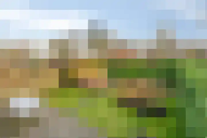 Hoornikgaarde 2 Deventer thumbnail 41