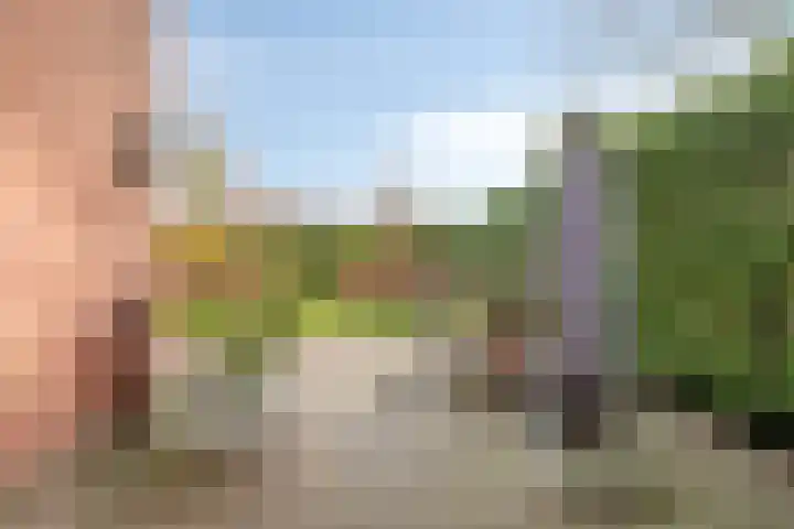Hoornikgaarde 2 Deventer thumbnail 43