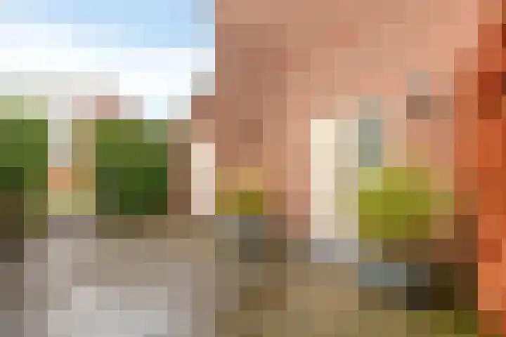 Hoornikgaarde 2 Deventer thumbnail 45