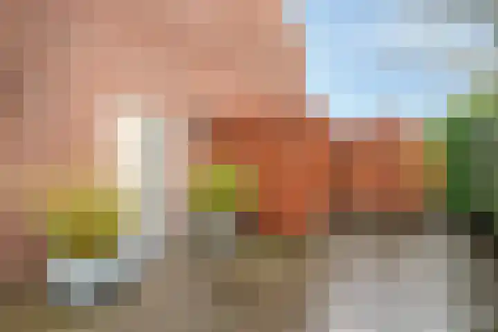 Hoornikgaarde 2 Deventer thumbnail 46