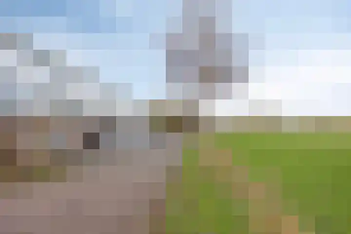 Hoornikgaarde 23 Deventer thumbnail 19
