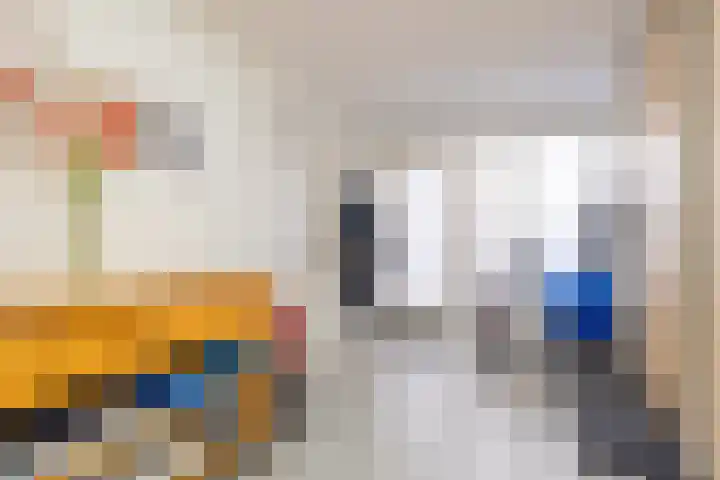 Hoorniklaan 3 Groningen thumbnail 22