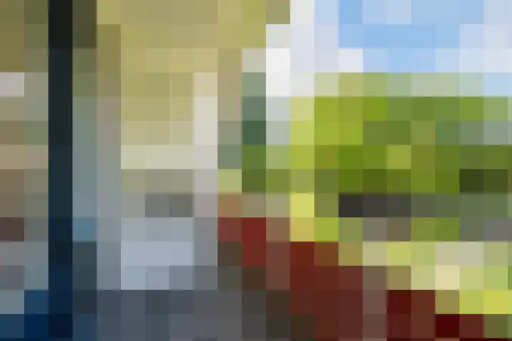 Hoorniklaan 3 Groningen thumbnail 31