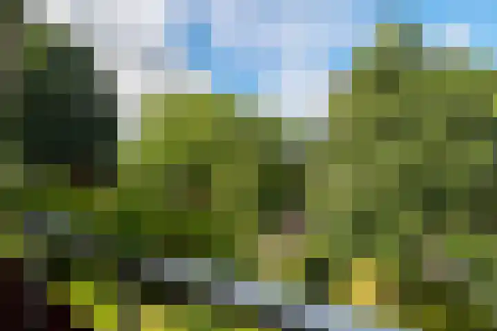 Hoorniklaan 3 Groningen thumbnail 32