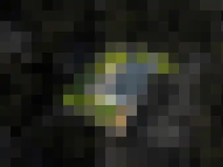 Hoorniklaan 3 Groningen thumbnail 4