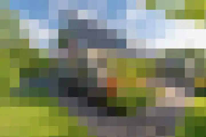 Hoorniklaan 3 Groningen thumbnail 41