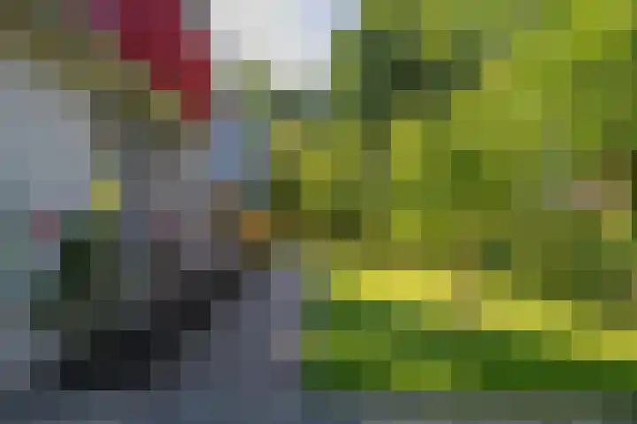 Hoorniklaan 3 Groningen thumbnail 42
