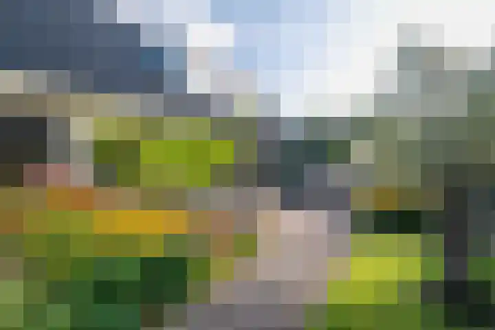 Hoorniklaan 3 Groningen thumbnail 43