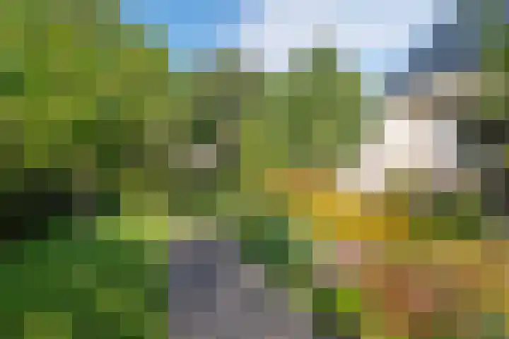 Hoorniklaan 3 Groningen thumbnail 44