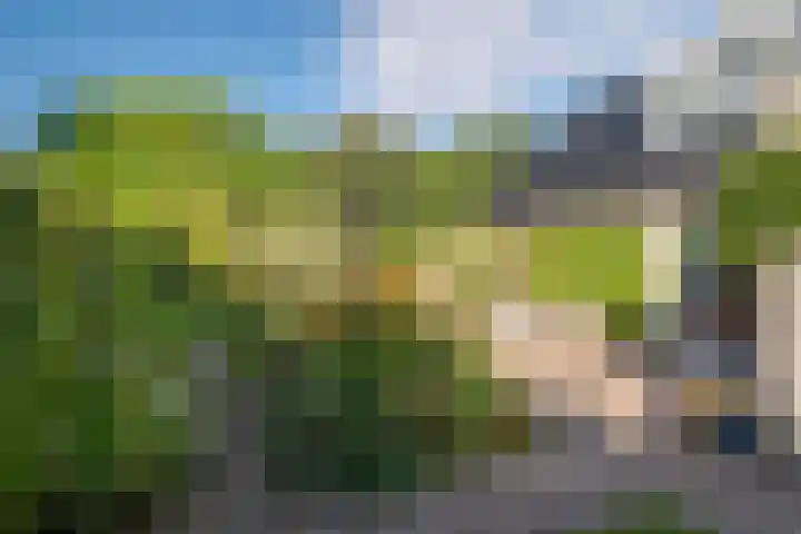 Hoorniklaan 3 Groningen thumbnail 45
