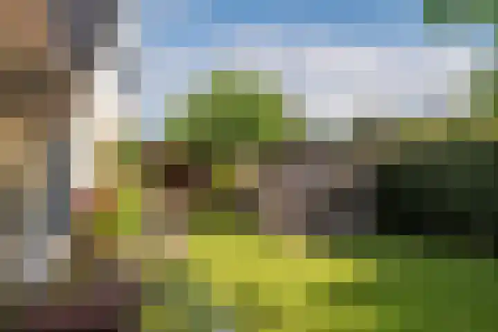 Hoorniklaan 3 Groningen thumbnail 46