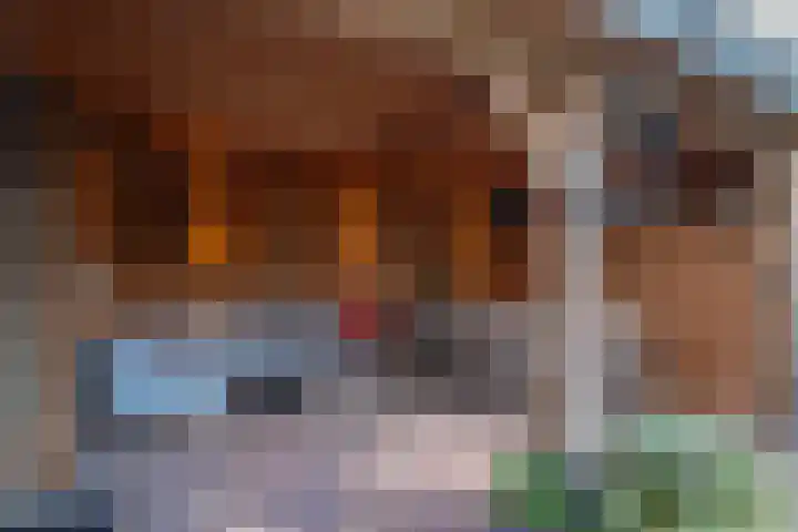 Hoorniklaan 3 Groningen thumbnail 47
