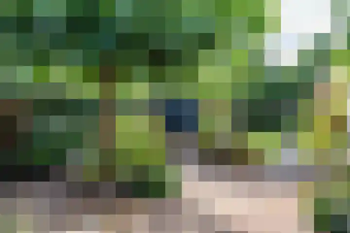 Hoorniklaan 3 Groningen thumbnail 48