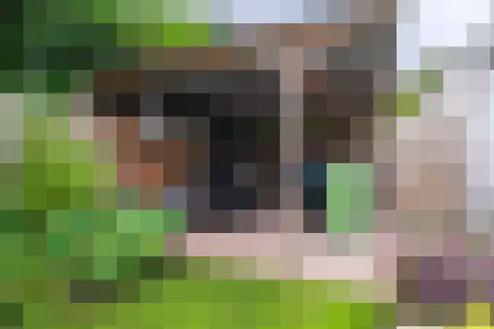 Hoorniklaan 3 Groningen thumbnail 49