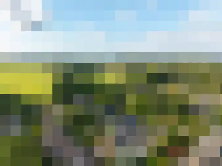 Hoorniklaan 3 Groningen thumbnail 5