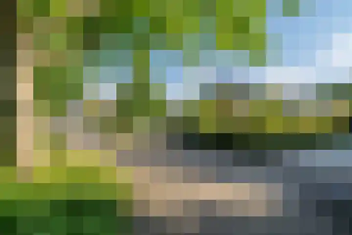 Hoorniklaan 3 Groningen thumbnail 50