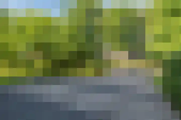 Hoorniklaan 3 Groningen thumbnail 8
