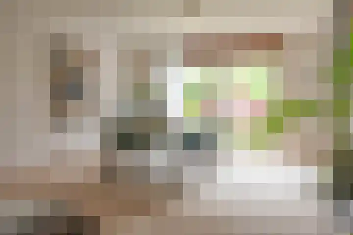 Hoorniklaan 8 Groningen thumbnail 12