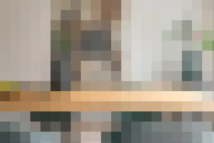 Hoorniklaan 8 Groningen thumbnail 13