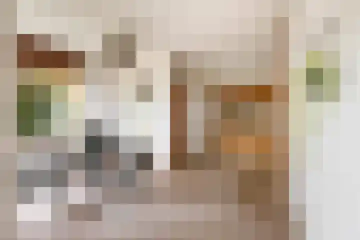Hoorniklaan 8 Groningen thumbnail 15