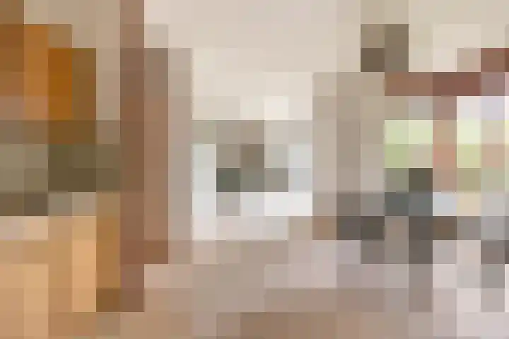 Hoorniklaan 8 Groningen thumbnail 16