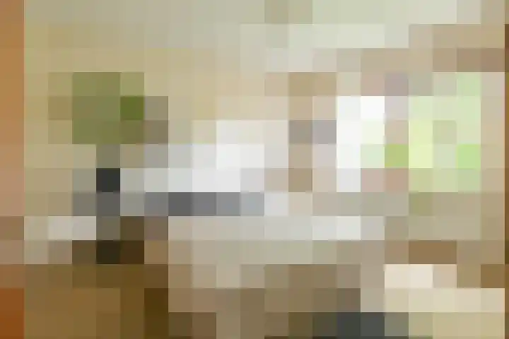Hoorniklaan 8 Groningen thumbnail 19