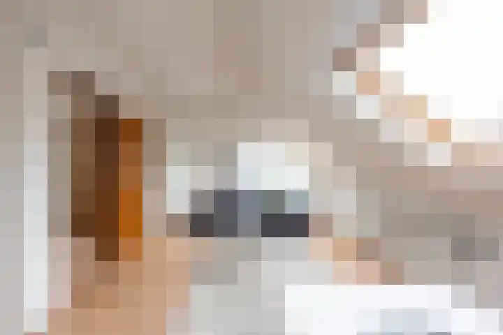 Hoorniklaan 8 Groningen thumbnail 25