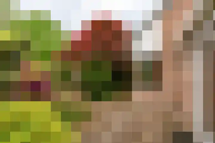 Hoorniklaan 8 Groningen thumbnail 32