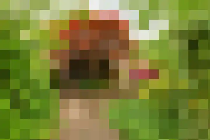 Hoorniklaan 8 Groningen thumbnail 33