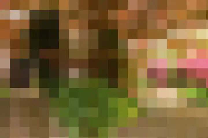 Hoorniklaan 8 Groningen thumbnail 34
