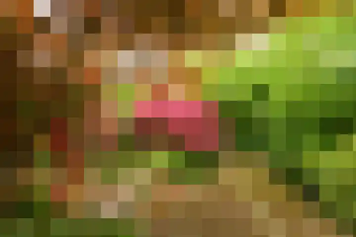 Hoorniklaan 8 Groningen thumbnail 35