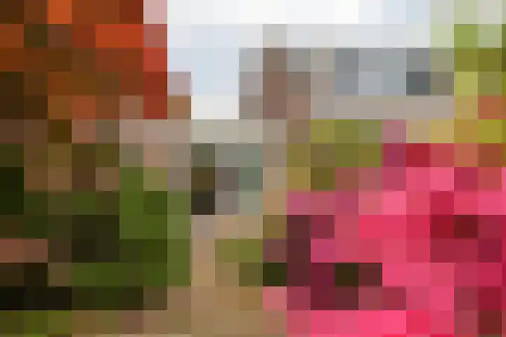 Hoorniklaan 8 Groningen thumbnail 36