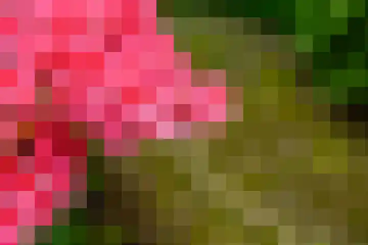 Hoorniklaan 8 Groningen thumbnail 37