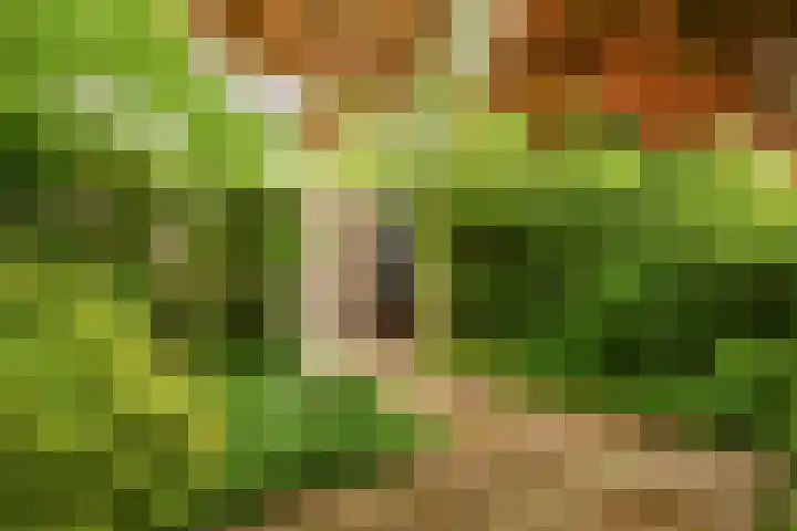 Hoorniklaan 8 Groningen thumbnail 38