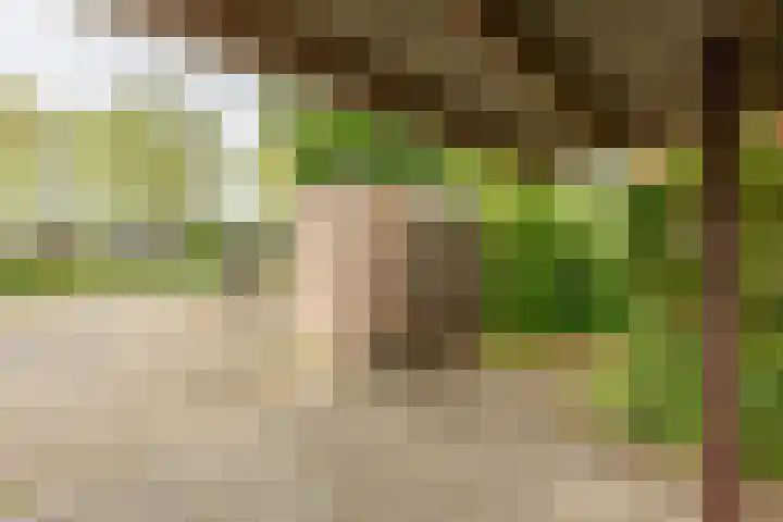 Hoorniklaan 8 Groningen thumbnail 39