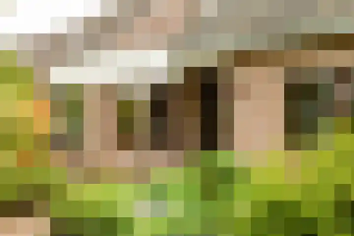 Hoorniklaan 8 Groningen thumbnail 4