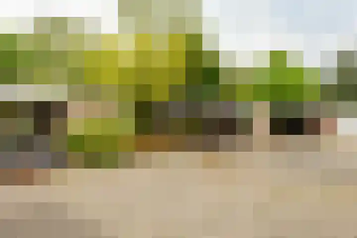 Hoorniklaan 8 Groningen thumbnail 41
