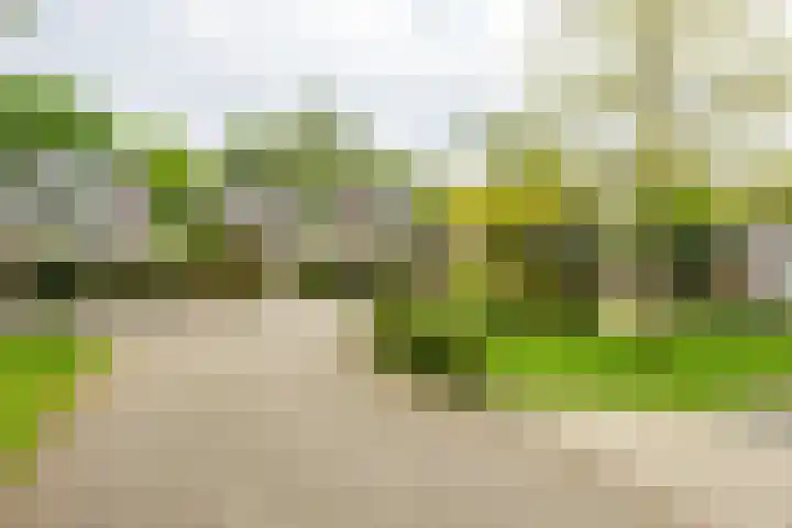 Hoorniklaan 8 Groningen thumbnail 42
