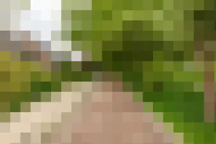 Hoorniklaan 8 Groningen thumbnail 43