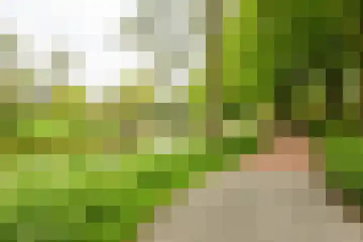 Hoorniklaan 8 Groningen thumbnail 44