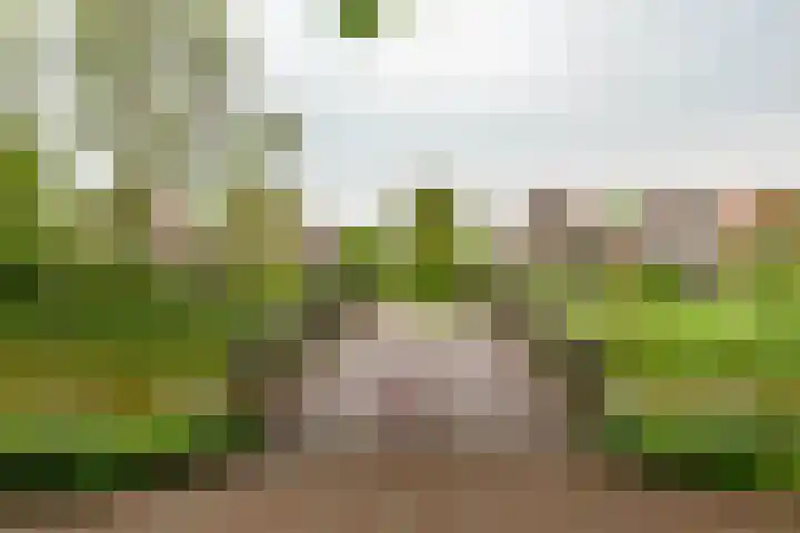 Hoorniklaan 8 Groningen thumbnail 45