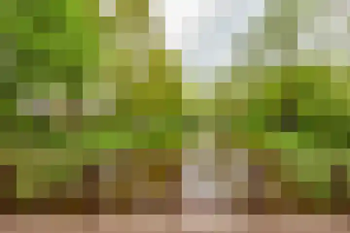 Hoorniklaan 8 Groningen thumbnail 46