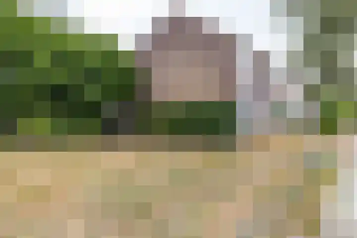 Hoornkampen 13 Rolde thumbnail 10