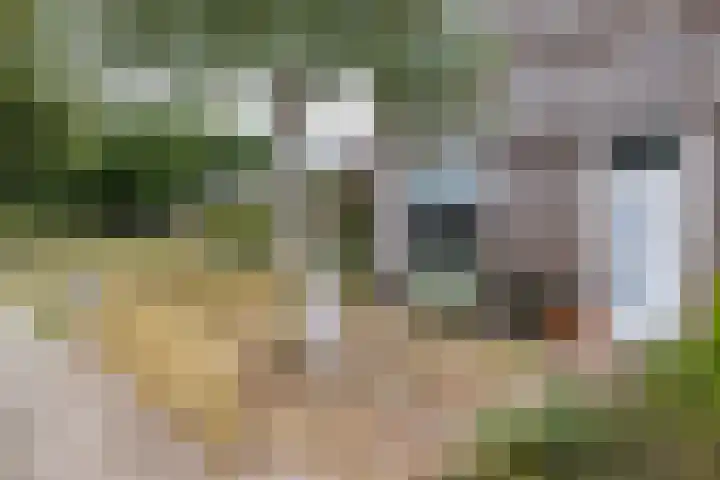 Hoornkampen 13 Rolde thumbnail 11